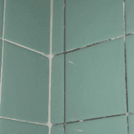 Mouldy green shower tile needs regouting
