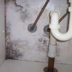 Mouldy Bathroom cupboard before repair