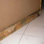 mouldy shower skirting board needs repair
