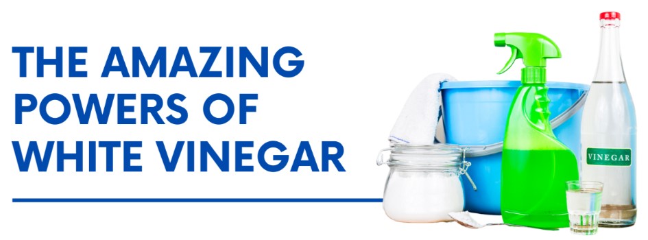 powers of white vinegar