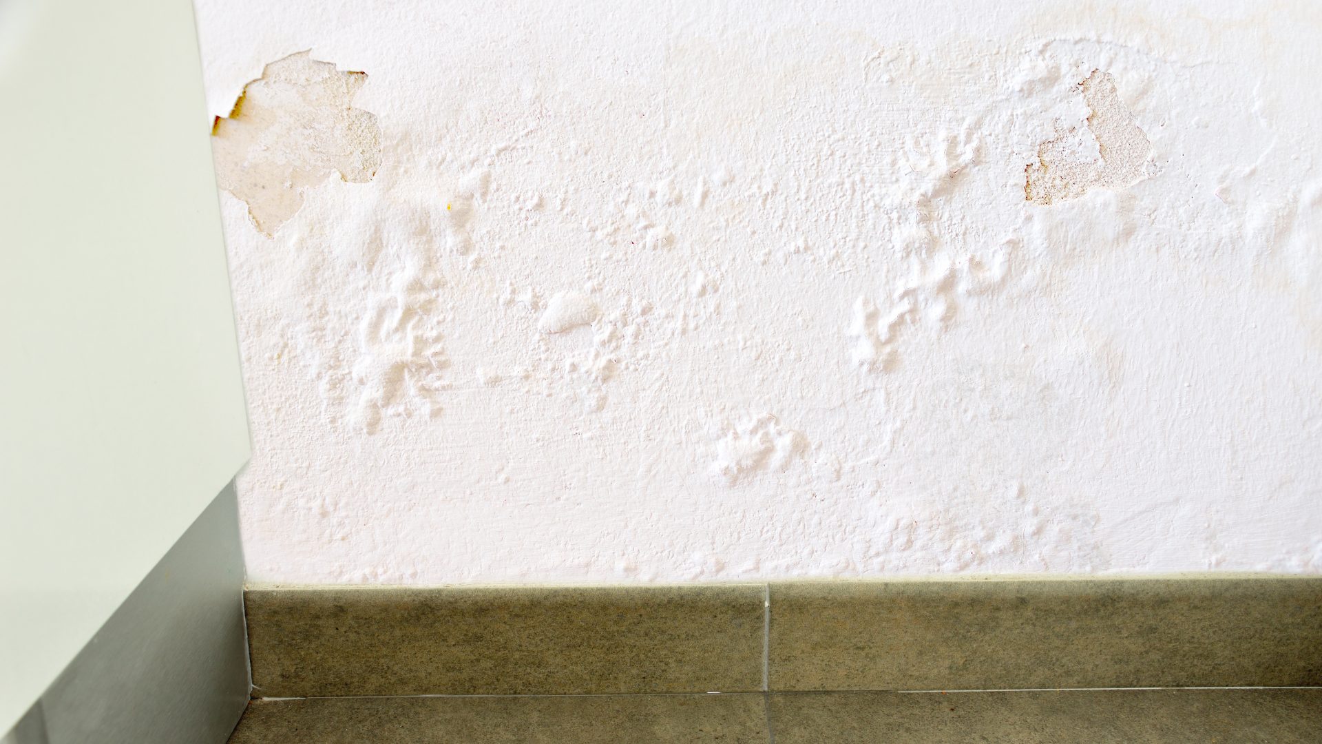 signs to look for leaking shower - bubbling paint