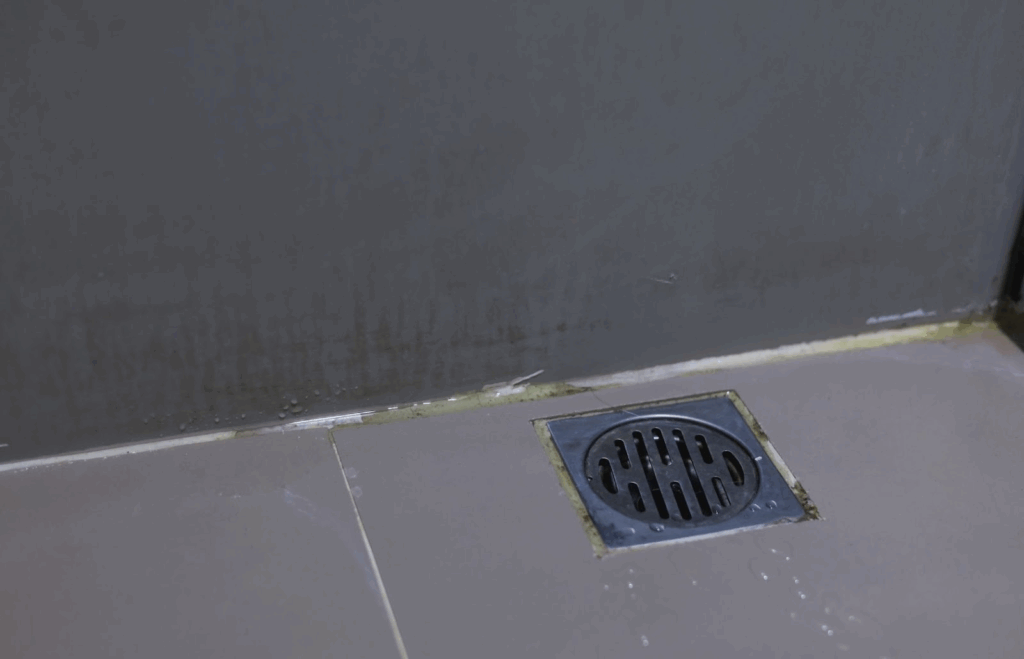 Shower floor drain with mold and grime buildup along the wall and tiles