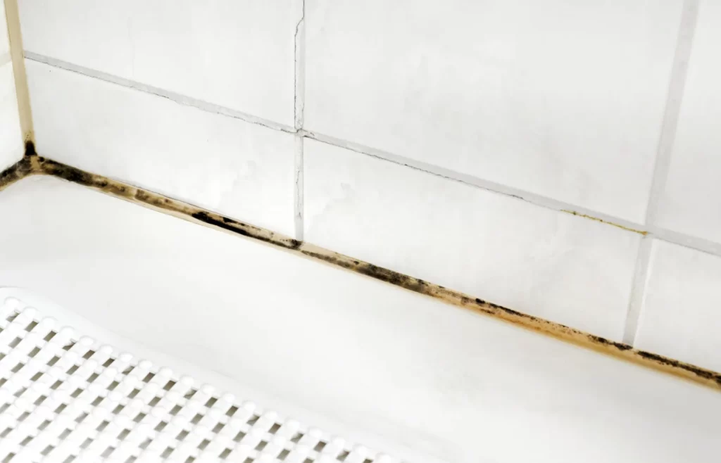 Bathroom mould in the corner of the tiles.