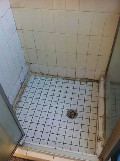 Gallery 15 1 1
